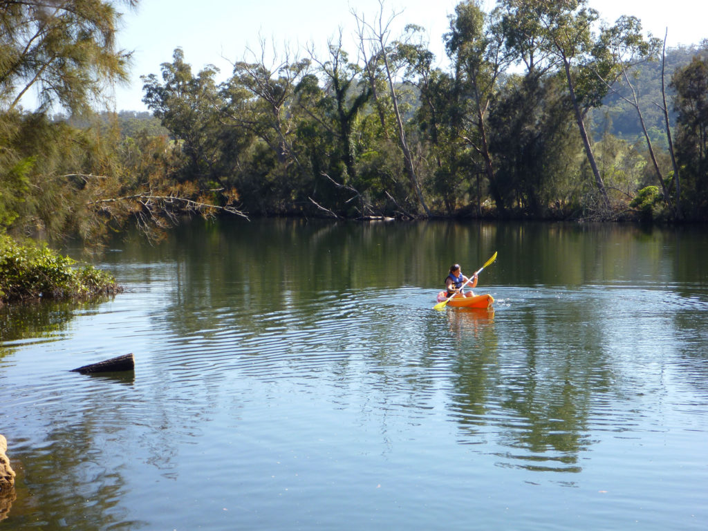 person paddling in kayak on the water