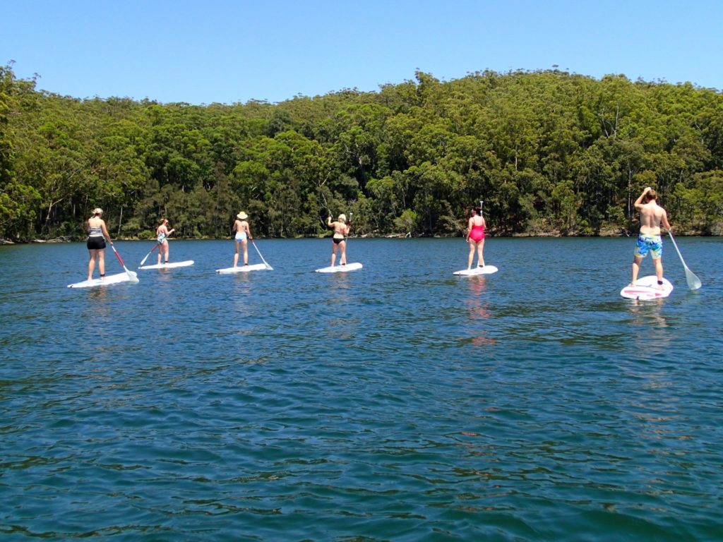 Group standing on individual paddle boards paddling on water