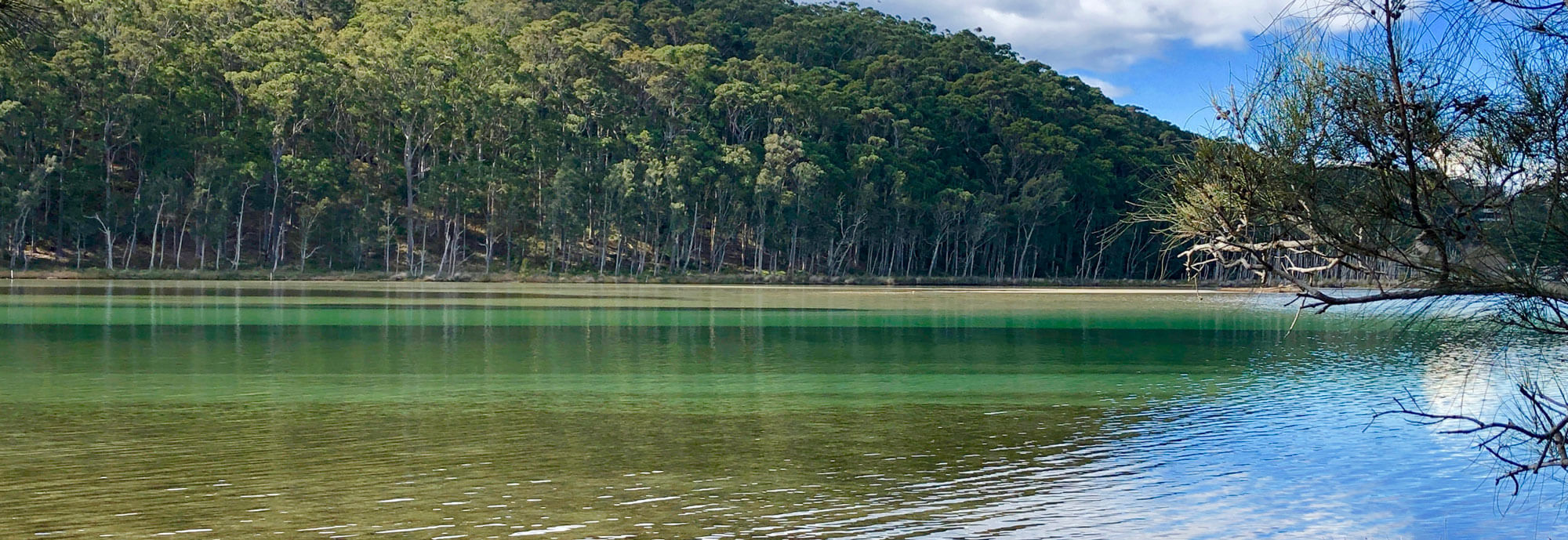 wide image of bay waters with bushy mountain in the background